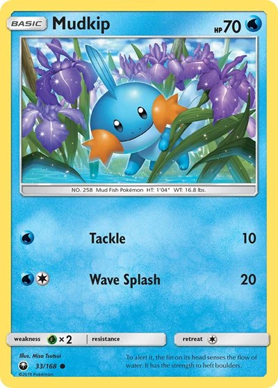 CES: Mudkip (33)