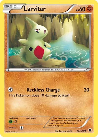 FCO: Larvitar (40)