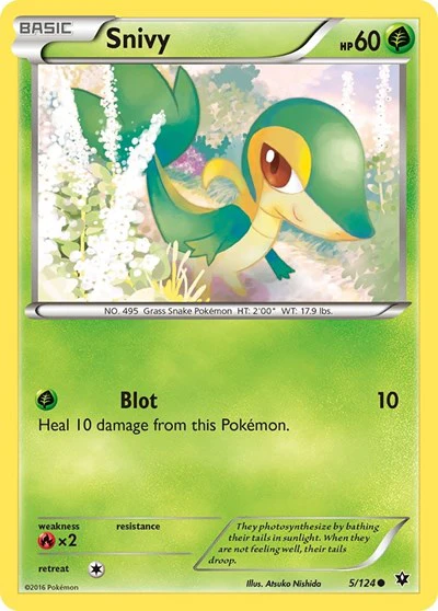 FCO: Snivy