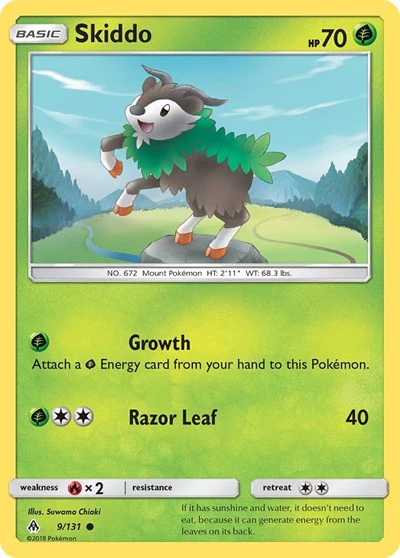 SM06: Skiddo